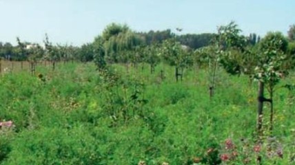 Pluk de vruchten van de natuur